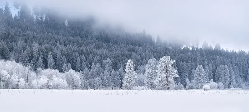 Brume hivernale : limiter son altitude de vol en drone