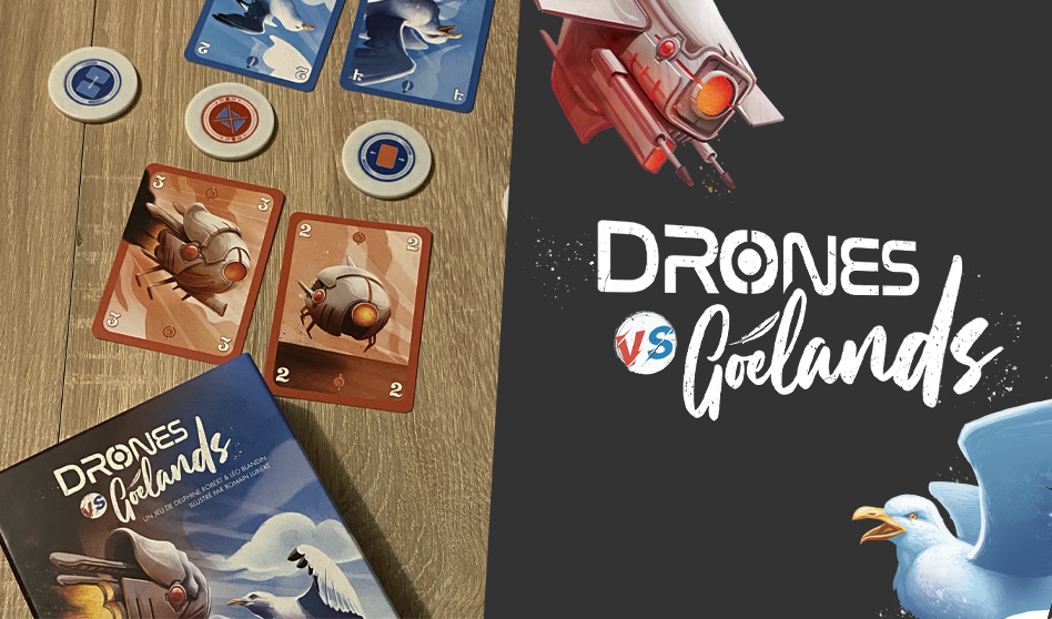 Drones vs. Goélands, test de studioSPORT.fr