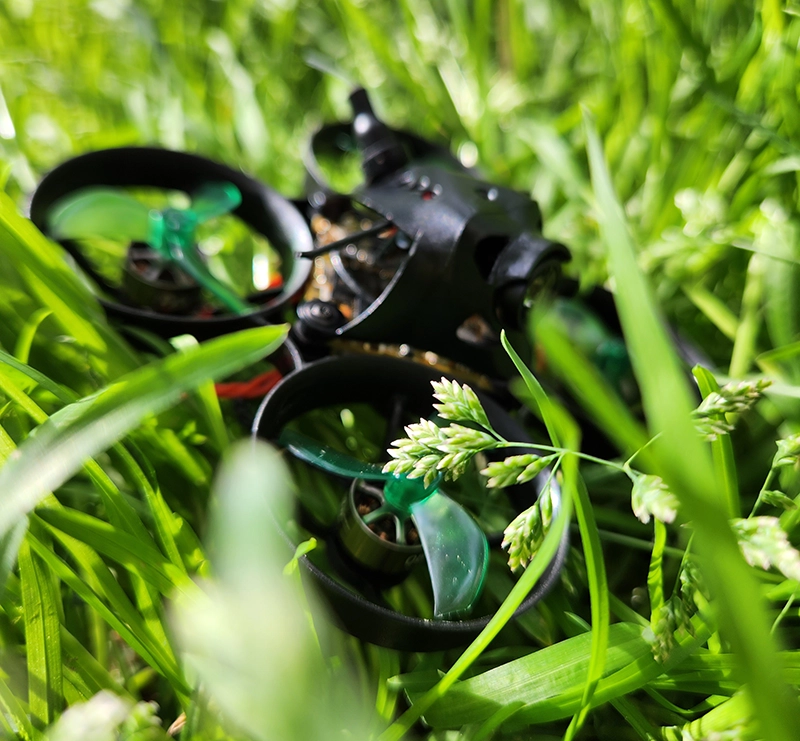 Test Acrobee65 BLV4 (drone dans l'herbe)