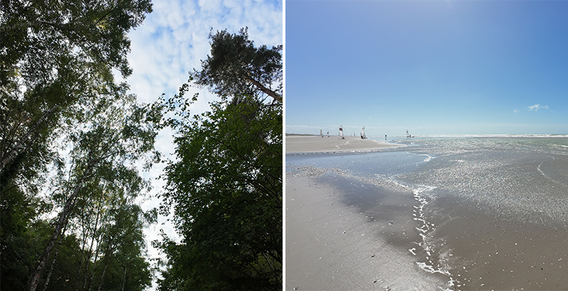 Photo réalisée avec la DJI Osmo Action 4. Sur la gauche une forêt et sur la droite une plage.