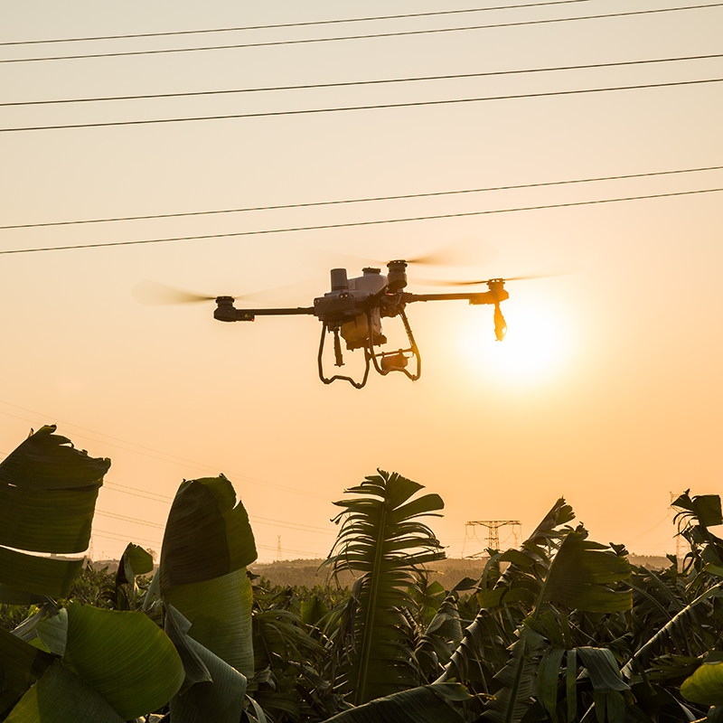 Drones professionnels agricole