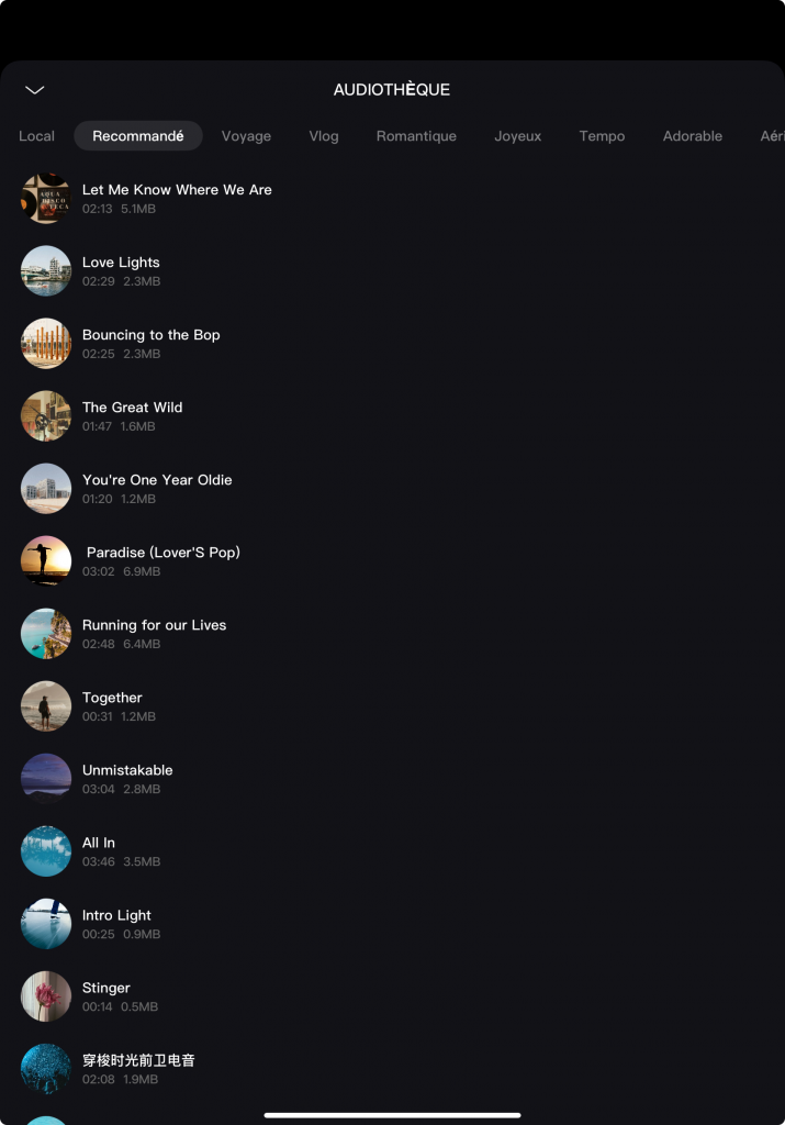 Ajout de musiques sur le montage - Tuto DJI Osmo 360