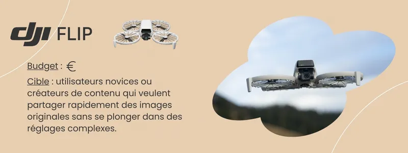 Carte comparatif DJI Flip